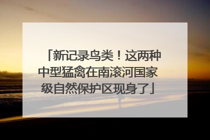新记录鸟类！这两种中型猛禽在南滚河国家级自然保护区现身了