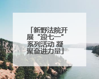 新野法院开展“迎七一”系列活动 凝聚奋进力量