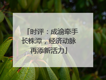 时评：成渝牵手长株潭，经济动脉再添新活力