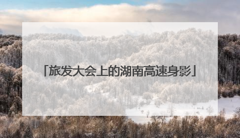 旅发大会上的湖南高速身影