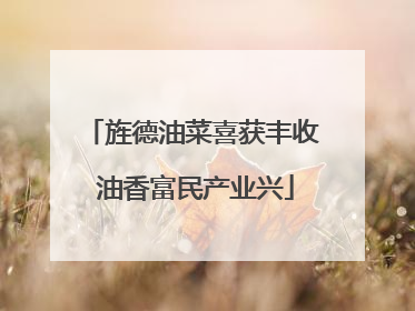 旌德油菜喜获丰收 油香富民产业兴