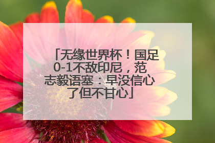 无缘世界杯！国足0-1不敌印尼，范志毅语塞：早没信心了但不甘心
