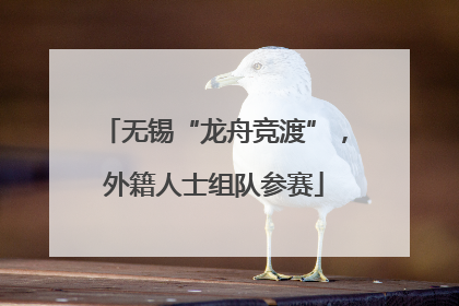 无锡“龙舟竞渡”，外籍人士组队参赛