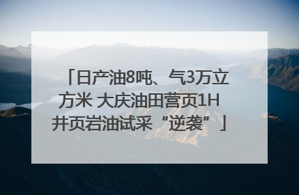 日产油8吨、气3万立方米 大庆油田营页1H井页岩油试采“逆袭”