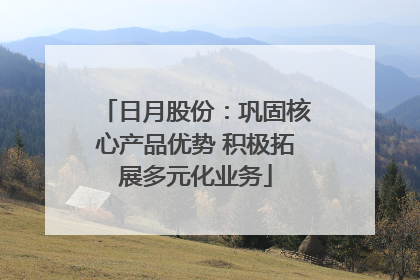 日月股份：巩固核心产品优势 积极拓展多元化业务