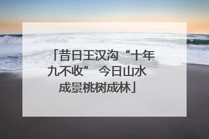 昔日王汉沟“十年九不收” 今日山水成景桃树成林