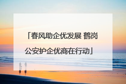 春风助企优发展 鹤岗公安护企优商在行动