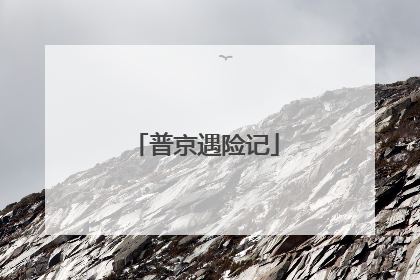 普京遇险记