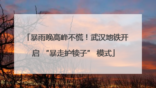 暴雨晚高峰不慌！武汉地铁开启 “暴走护犊子” 模式