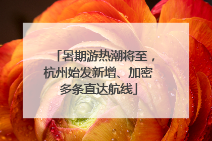 暑期游热潮将至，杭州始发新增、加密多条直达航线