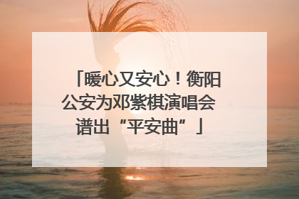 暖心又安心！衡阳公安为邓紫棋演唱会谱出“平安曲”