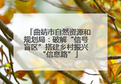 曲靖市自然资源和规划局：破解“信号盲区”搭建乡村振兴“信息路”