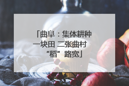 曲阜：集体耕种一块田 二张曲村“稻”路宽