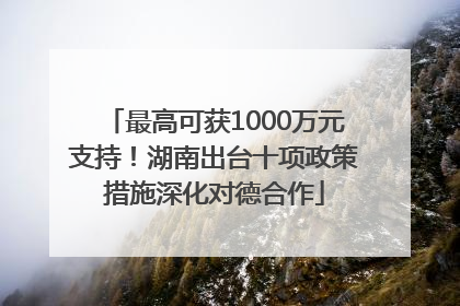 最高可获1000万元支持！湖南出台十项政策措施深化对德合作