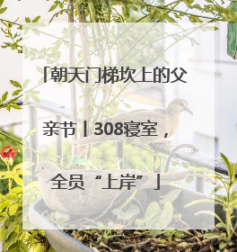 朝天门梯坎上的父亲节丨308寝室，全员“上岸”