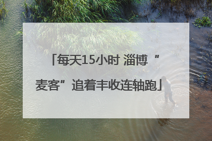每天15小时 淄博“麦客”追着丰收连轴跑
