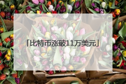 比特币涨破11万美元