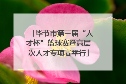 毕节市第三届“人才杯”篮球赛暨高层次人才专项赛举行