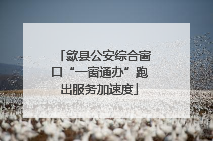 歙县公安综合窗口“一窗通办”跑出服务加速度
