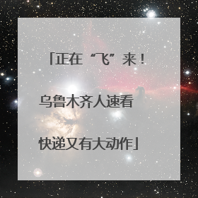 正在“飞”来！乌鲁木齐人速看 快递又有大动作
