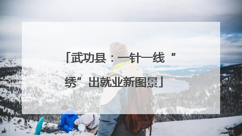 武功县：一针一线“绣”出就业新图景