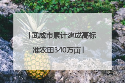 武威市累计建成高标准农田340万亩