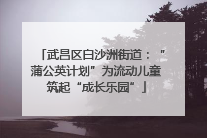 武昌区白沙洲街道：“蒲公英计划”为流动儿童筑起“成长乐园”
