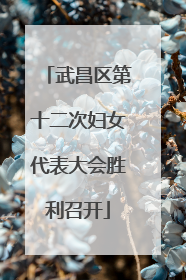 武昌区第十二次妇女代表大会胜利召开