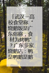 武汉一高校食堂称“烧鹅饭是广东俗称，食材为烤鸭”？广东多家烧鹅店：鸭是鸭鹅是鹅