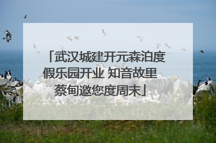 武汉城建开元森泊度假乐园开业 知音故里蔡甸邀您度周末