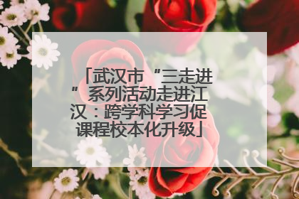 武汉市“三走进”系列活动走进江汉：跨学科学习促课程校本化升级