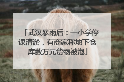 武汉暴雨后：一小学停课清淤，有商家称地下仓库数万元货物被泡