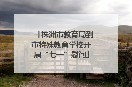 株洲市教育局到市特殊教育学校开展“七一”慰问
