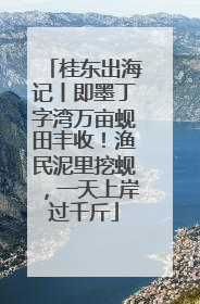 桂东出海记丨即墨丁字湾万亩蚬田丰收！渔民泥里挖蚬，一天上岸过千斤