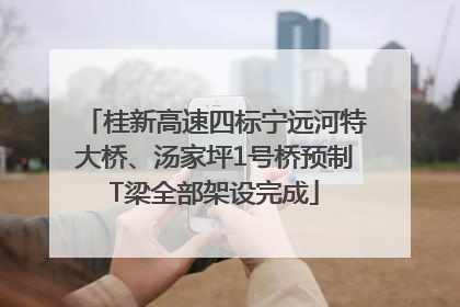 桂新高速四标宁远河特大桥、汤家坪1号桥预制T梁全部架设完成