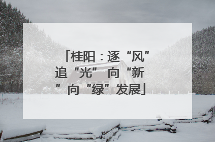 桂阳：逐“风”追“光” 向“新”向“绿”发展