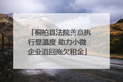 桐柏县法院善意执行显温度 助力小微企业追回拖欠租金