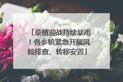 桑植迎战持续暴雨！各乡镇紧急开展风险排查、转移安置