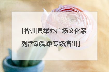 桦川县举办广场文化系列活动舞蹈专场演出