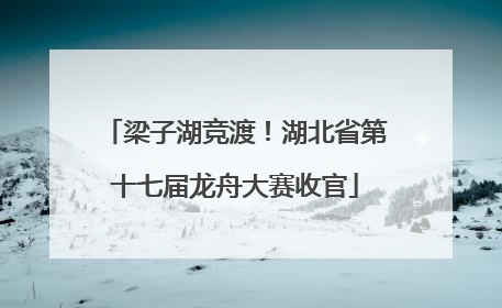 梁子湖竞渡！湖北省第十七届龙舟大赛收官
