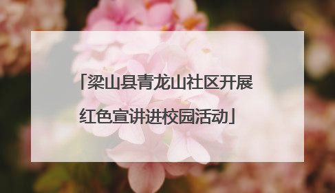 梁山县青龙山社区开展红色宣讲进校园活动