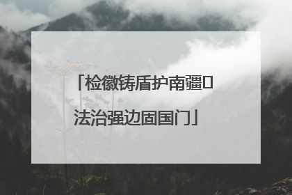 检徽铸盾护南疆 法治强边固国门