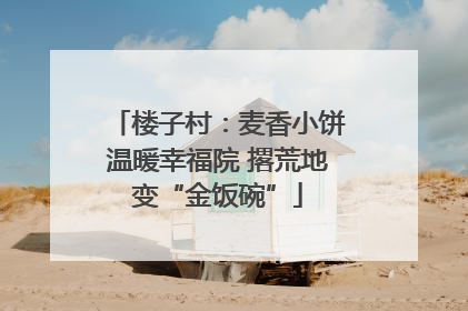 楼子村：麦香小饼温暖幸福院 撂荒地变“金饭碗”