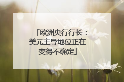 欧洲央行行长：美元主导地位正在变得不确定