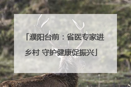 濮阳台前：省医专家进乡村 守护健康促振兴