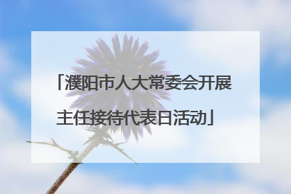 濮阳市人大常委会开展主任接待代表日活动