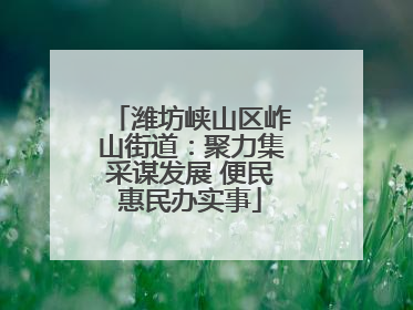 潍坊峡山区岞山街道：聚力集采谋发展 便民惠民办实事