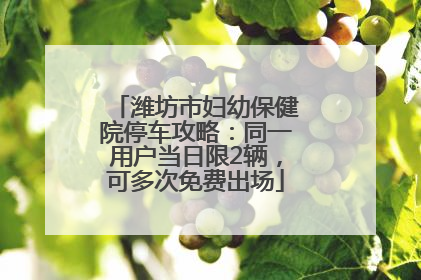 潍坊市妇幼保健院停车攻略：同一用户当日限2辆，可多次免费出场
