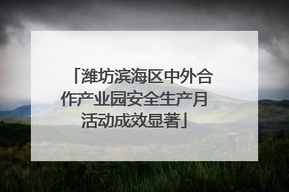 潍坊滨海区中外合作产业园安全生产月活动成效显著