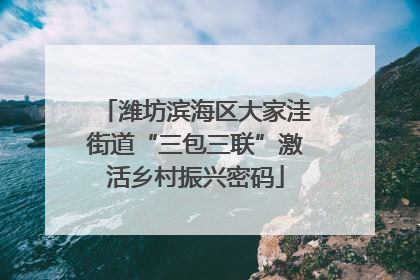 潍坊滨海区大家洼街道“三包三联”激活乡村振兴密码